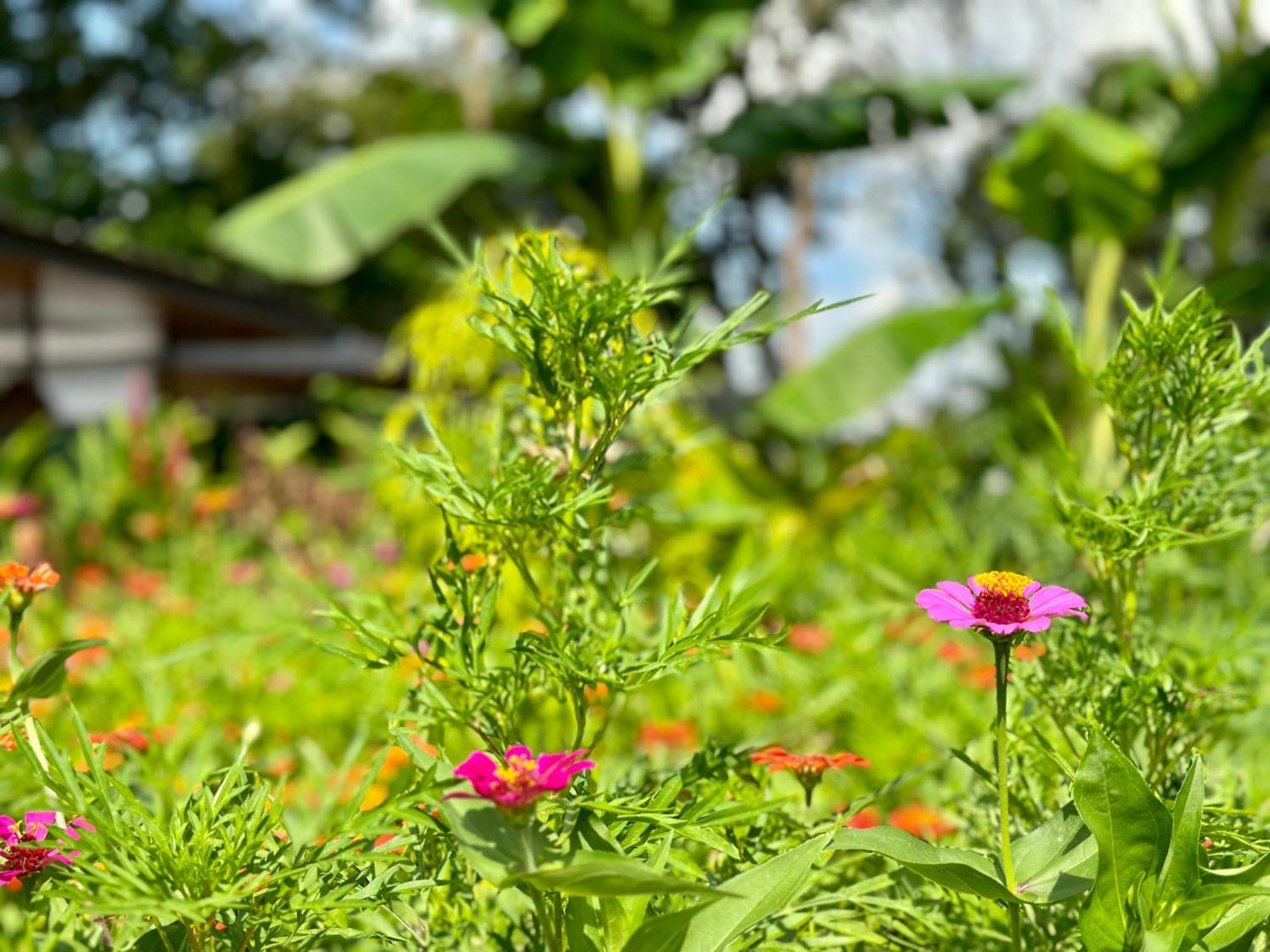 Almendros Eco-Villas La Fortuna Luaran gambar