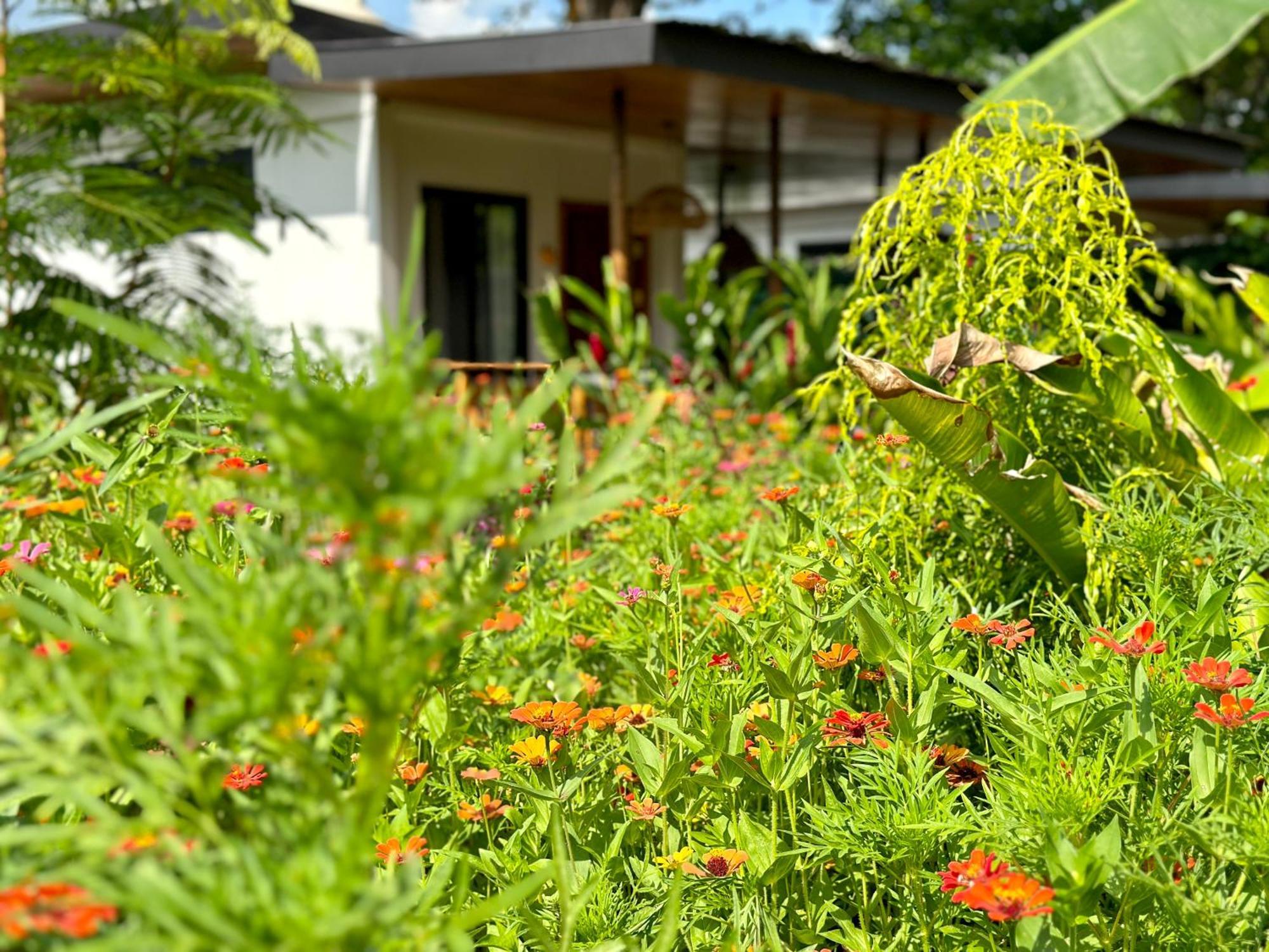 Almendros Eco-Villas La Fortuna Luaran gambar